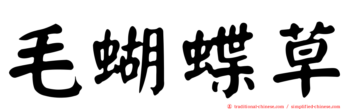 毛蝴蝶草