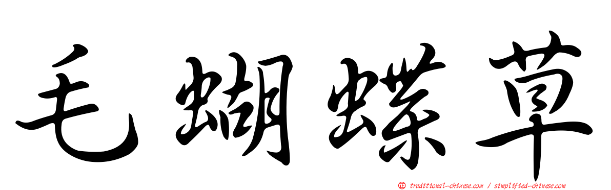 毛蝴蝶草
