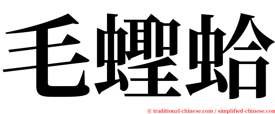 毛蟶蛤 serif font