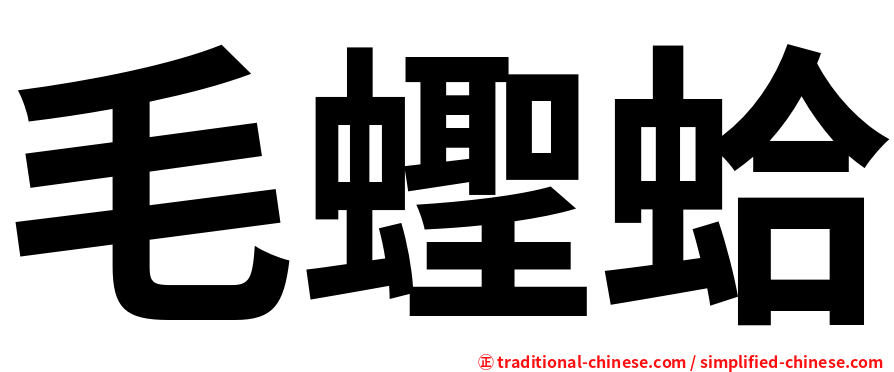 毛蟶蛤