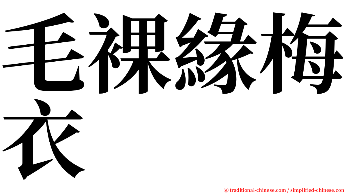 毛裸緣梅衣 serif font