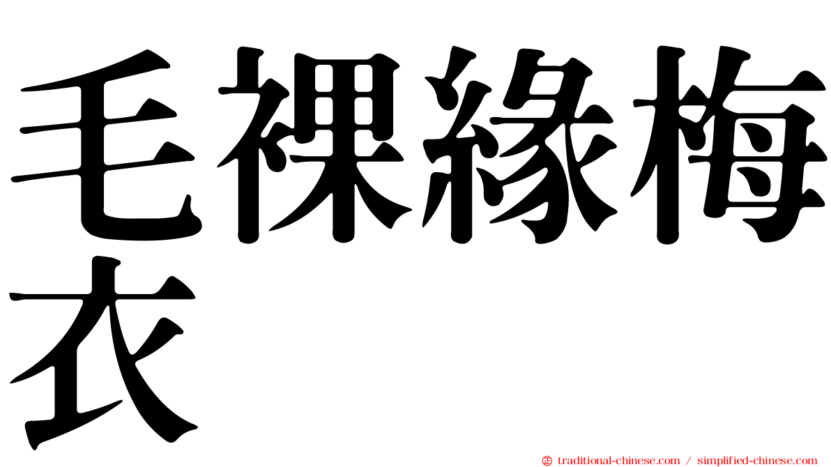 毛裸緣梅衣