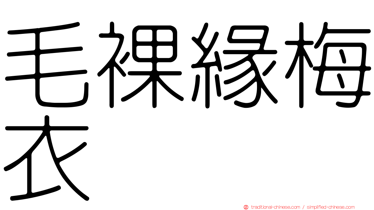 毛裸緣梅衣