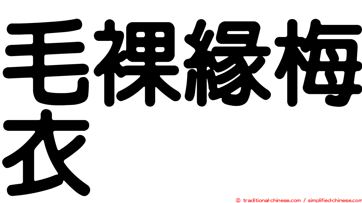 毛裸緣梅衣