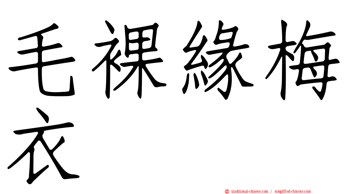 毛裸緣梅衣