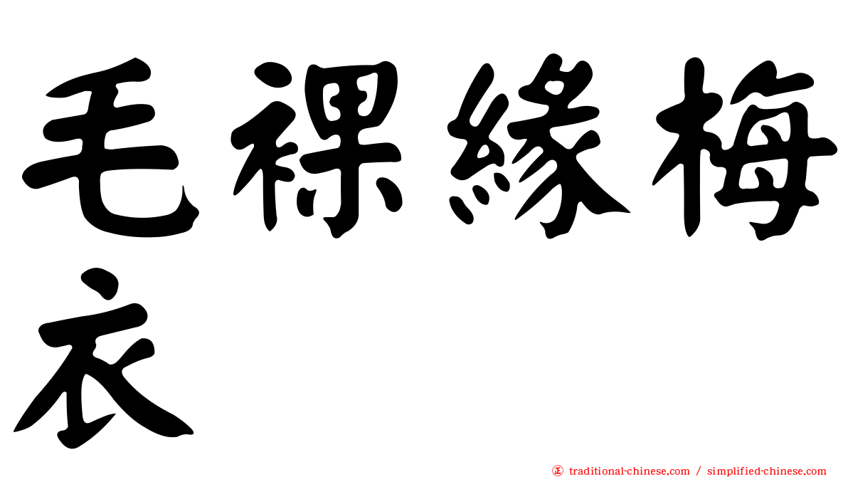 毛裸緣梅衣