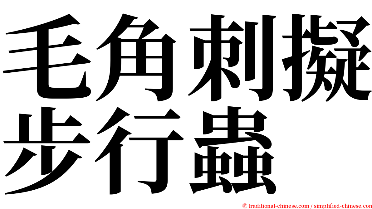 毛角刺擬步行蟲 serif font