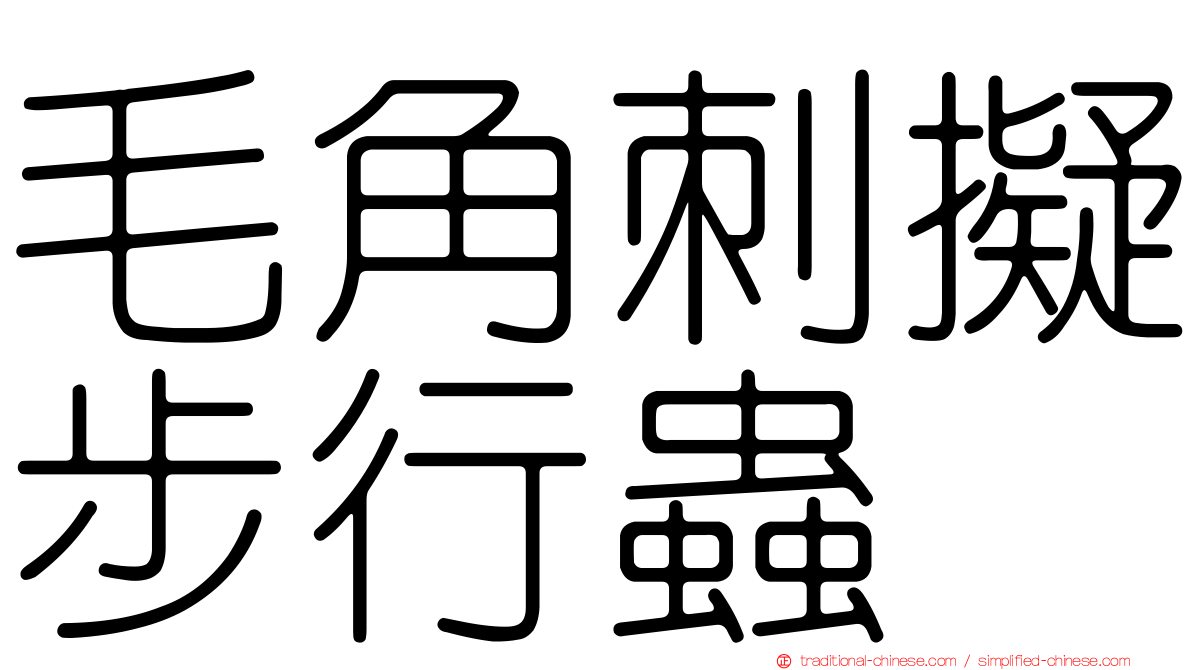 毛角刺擬步行蟲