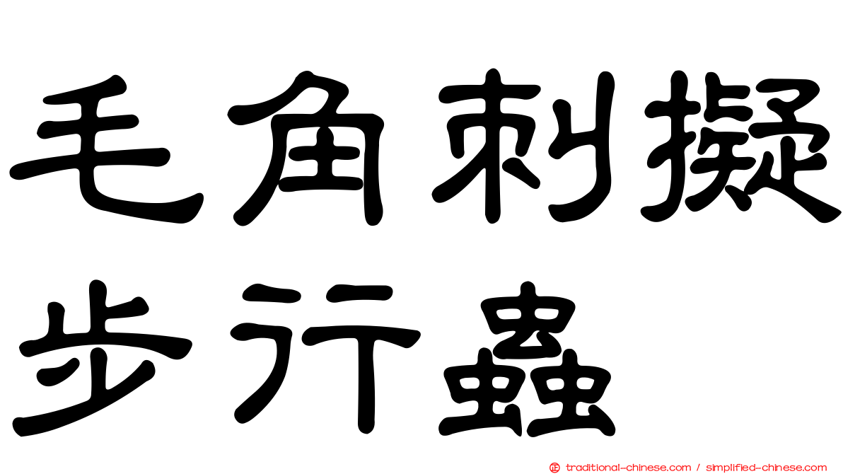 毛角刺擬步行蟲