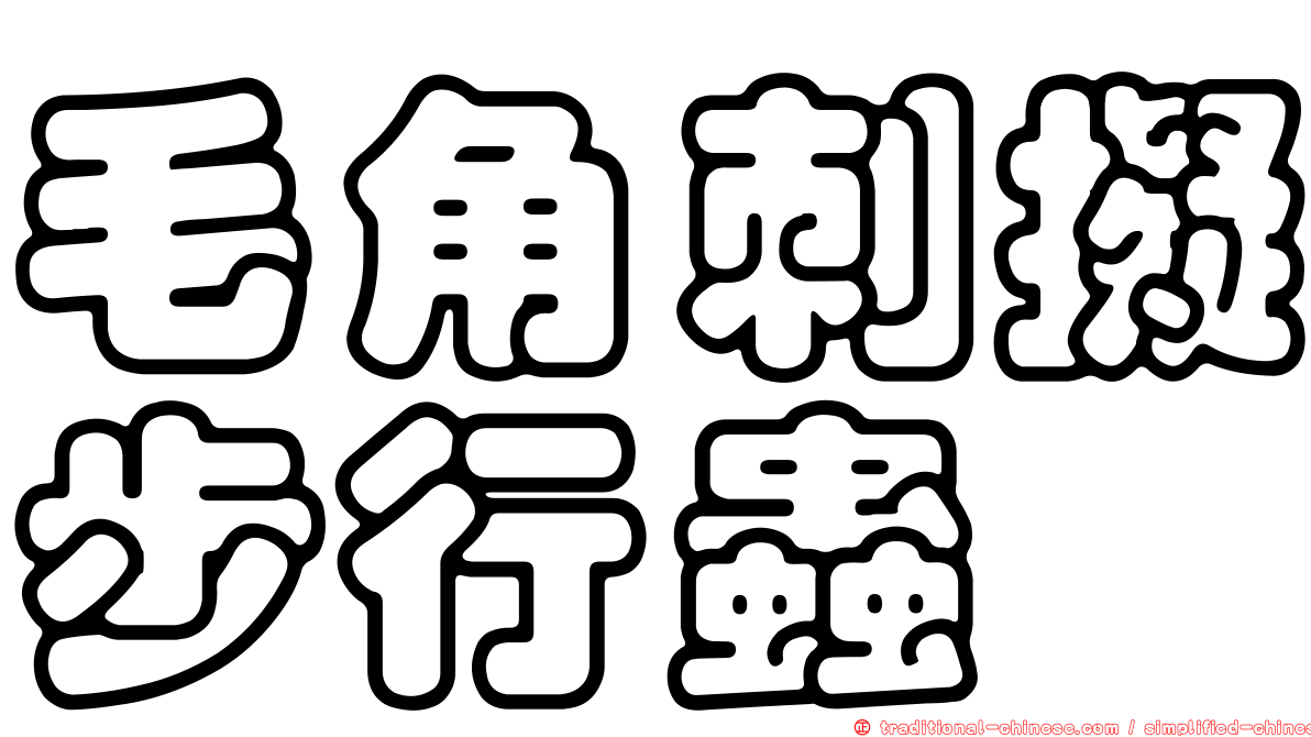 毛角刺擬步行蟲