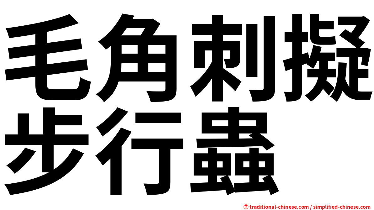 毛角刺擬步行蟲
