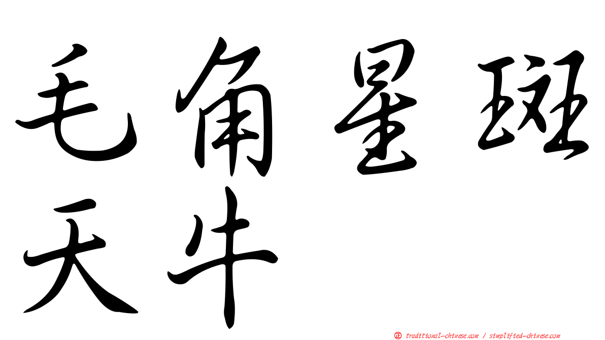 毛角星斑天牛