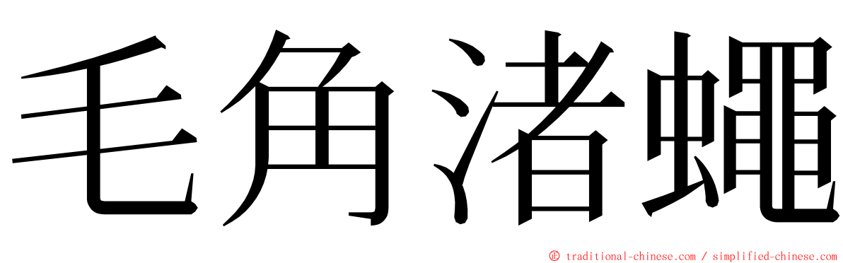 毛角渚蠅 ming font