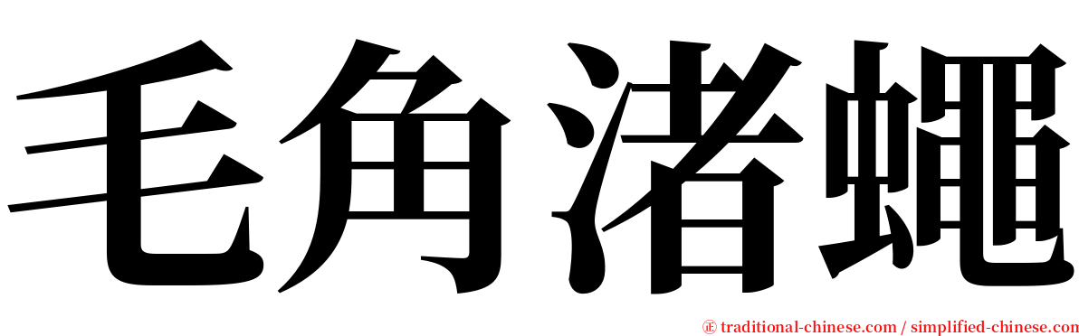 毛角渚蠅 serif font