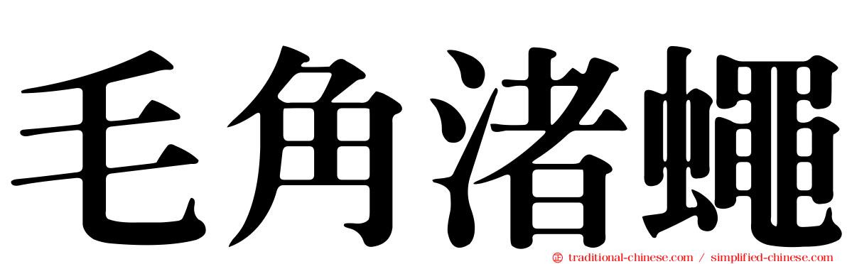 毛角渚蠅