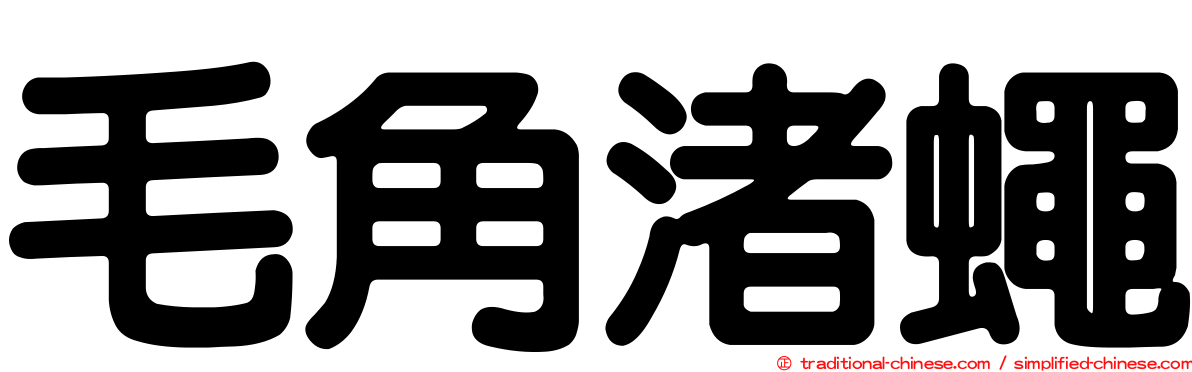 毛角渚蠅