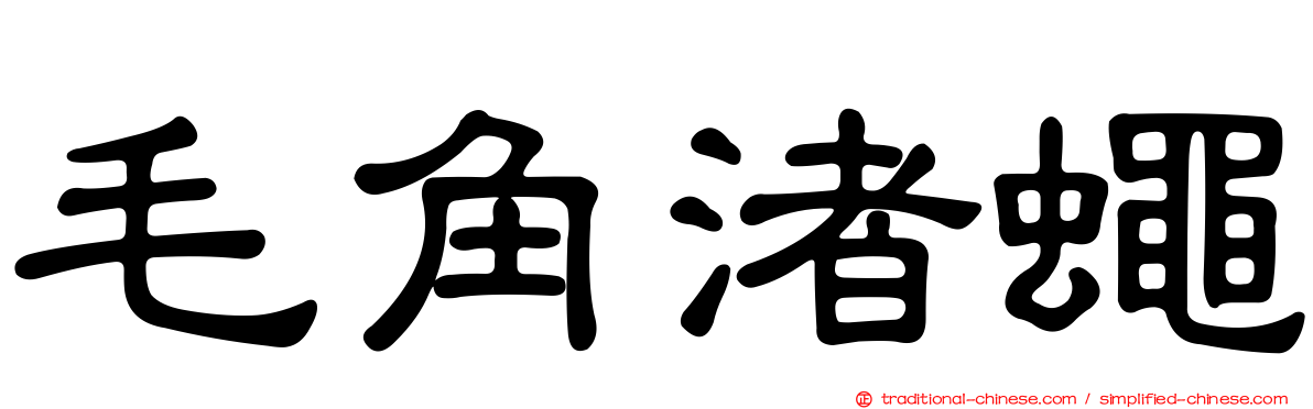 毛角渚蠅