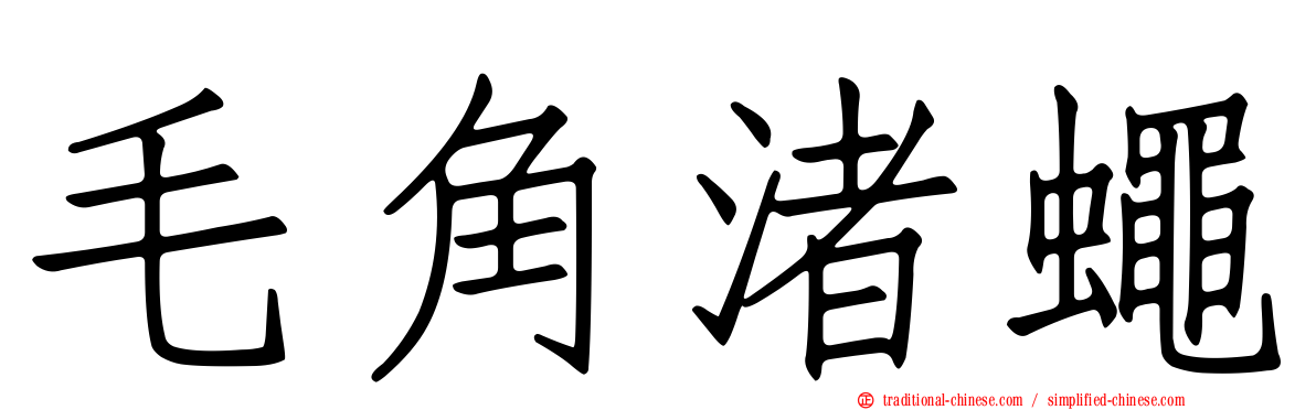 毛角渚蠅