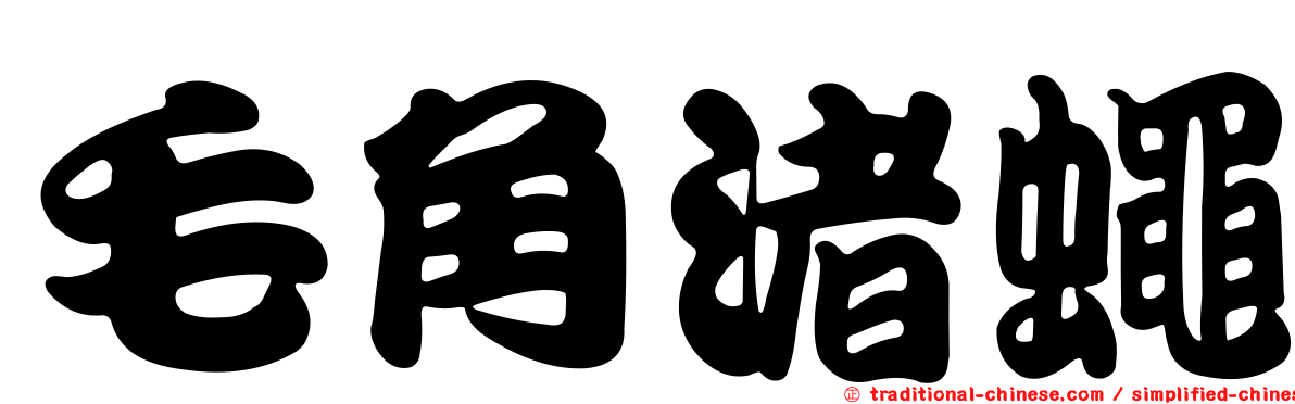 毛角渚蠅