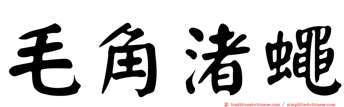 毛角渚蠅
