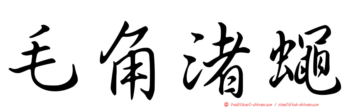 毛角渚蠅