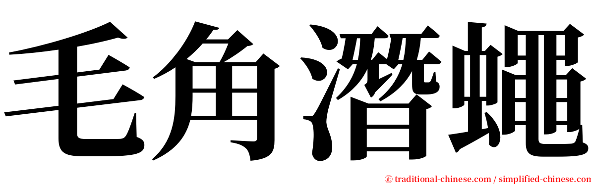 毛角潛蠅 serif font