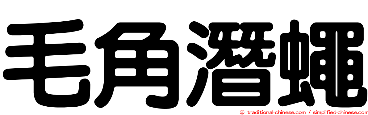 毛角潛蠅