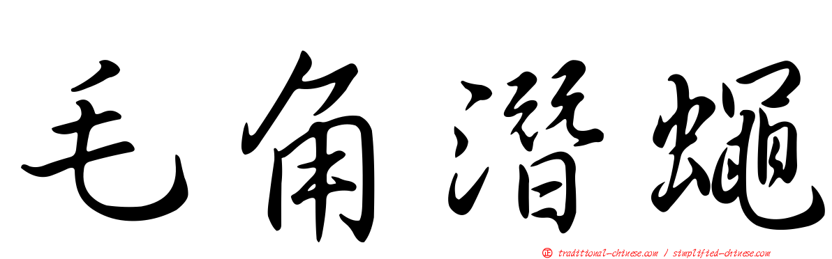 毛角潛蠅