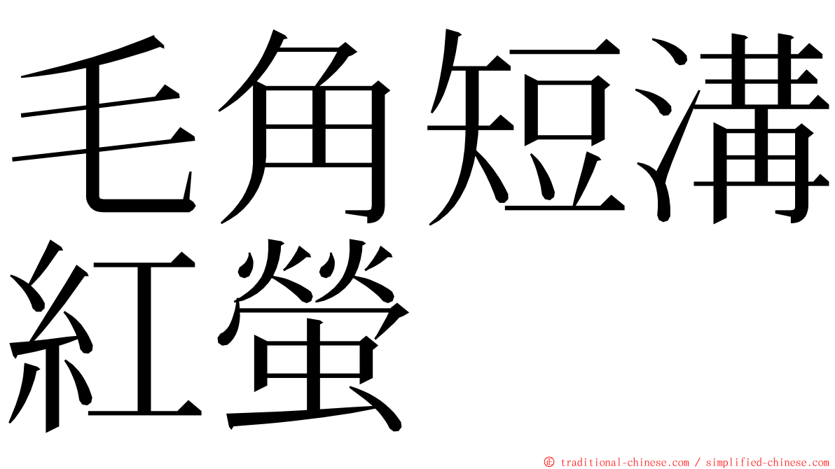 毛角短溝紅螢 ming font