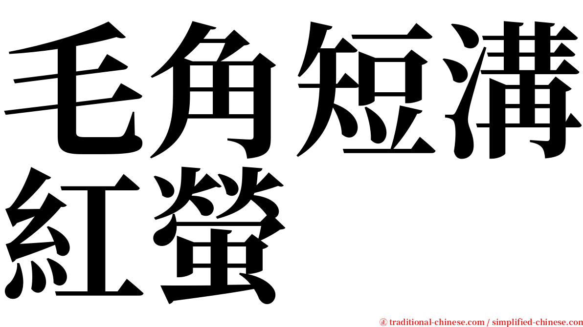 毛角短溝紅螢 serif font