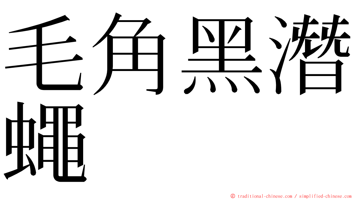 毛角黑潛蠅 ming font