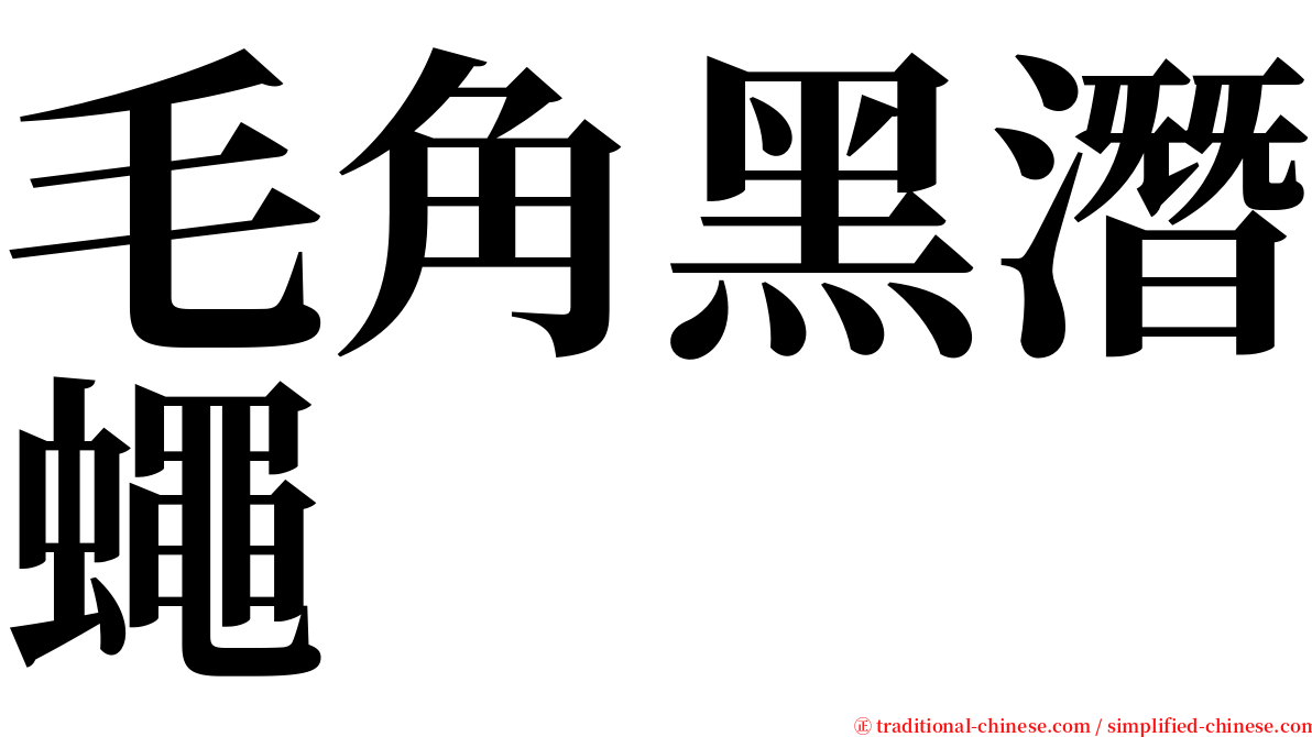 毛角黑潛蠅 serif font