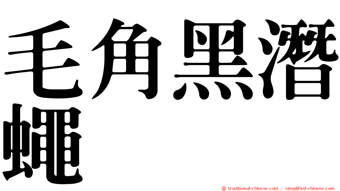 毛角黑潛蠅