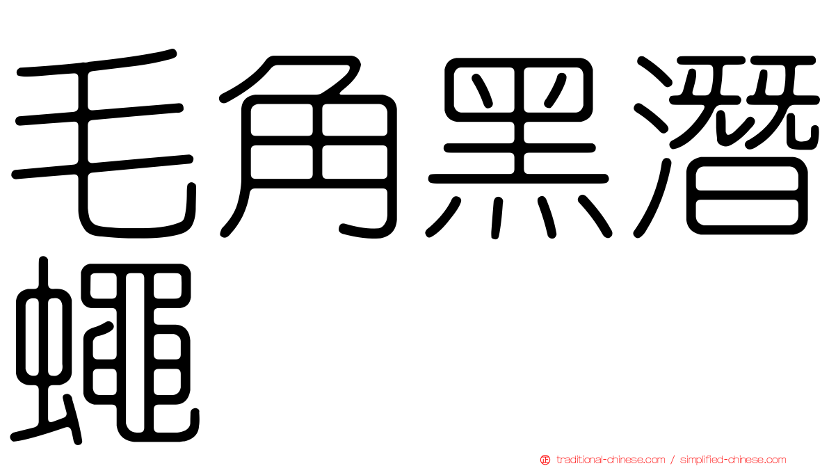 毛角黑潛蠅