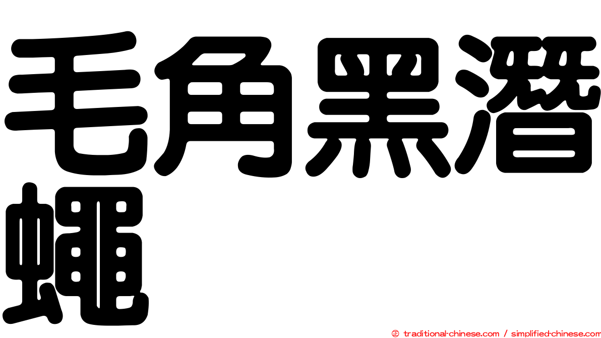 毛角黑潛蠅