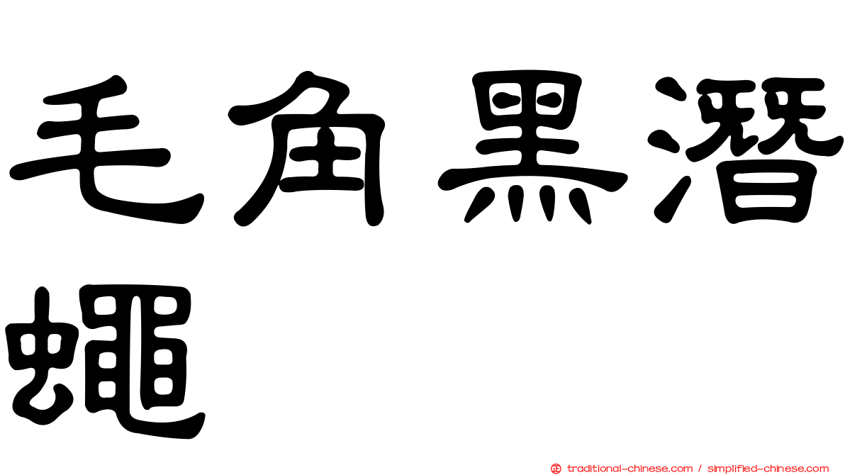 毛角黑潛蠅