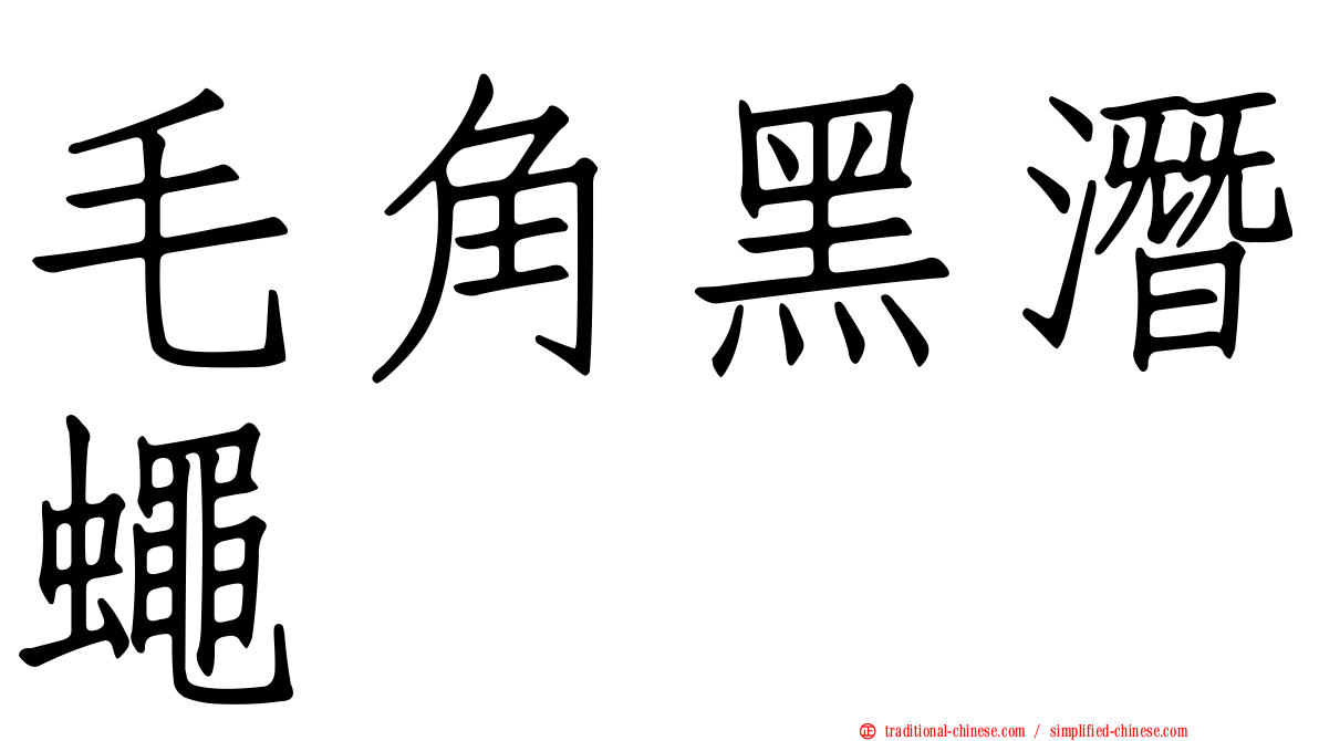 毛角黑潛蠅