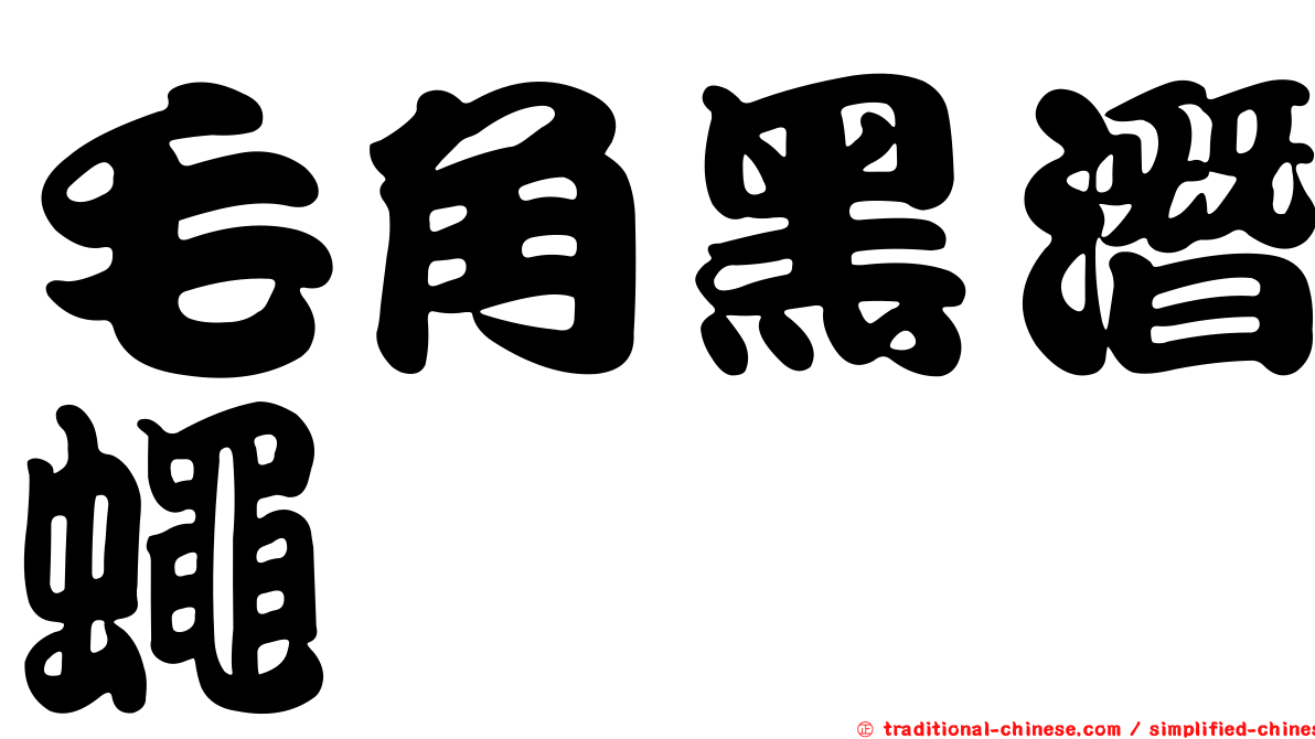 毛角黑潛蠅
