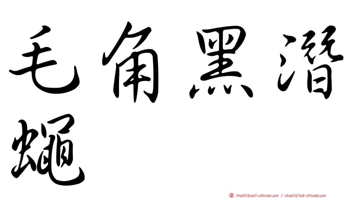 毛角黑潛蠅