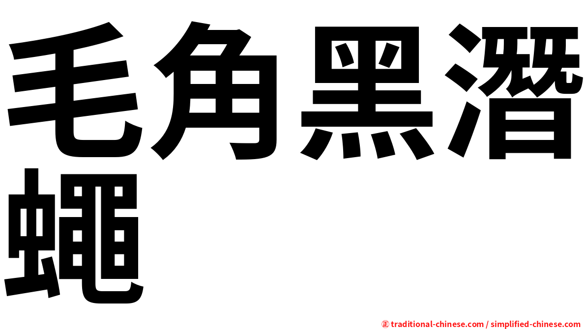 毛角黑潛蠅