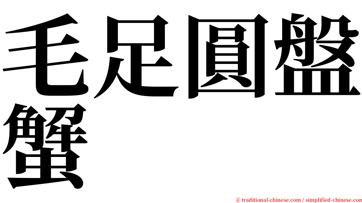 毛足圓盤蟹 serif font