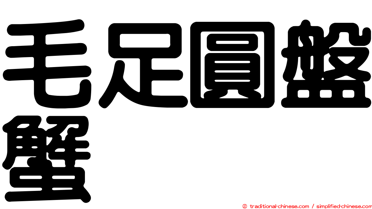 毛足圓盤蟹