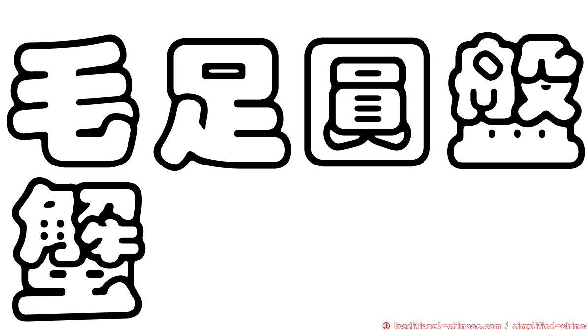 毛足圓盤蟹