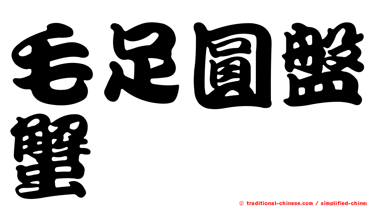 毛足圓盤蟹