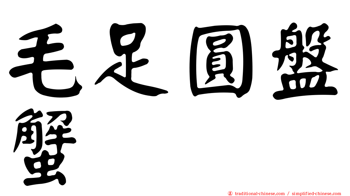 毛足圓盤蟹