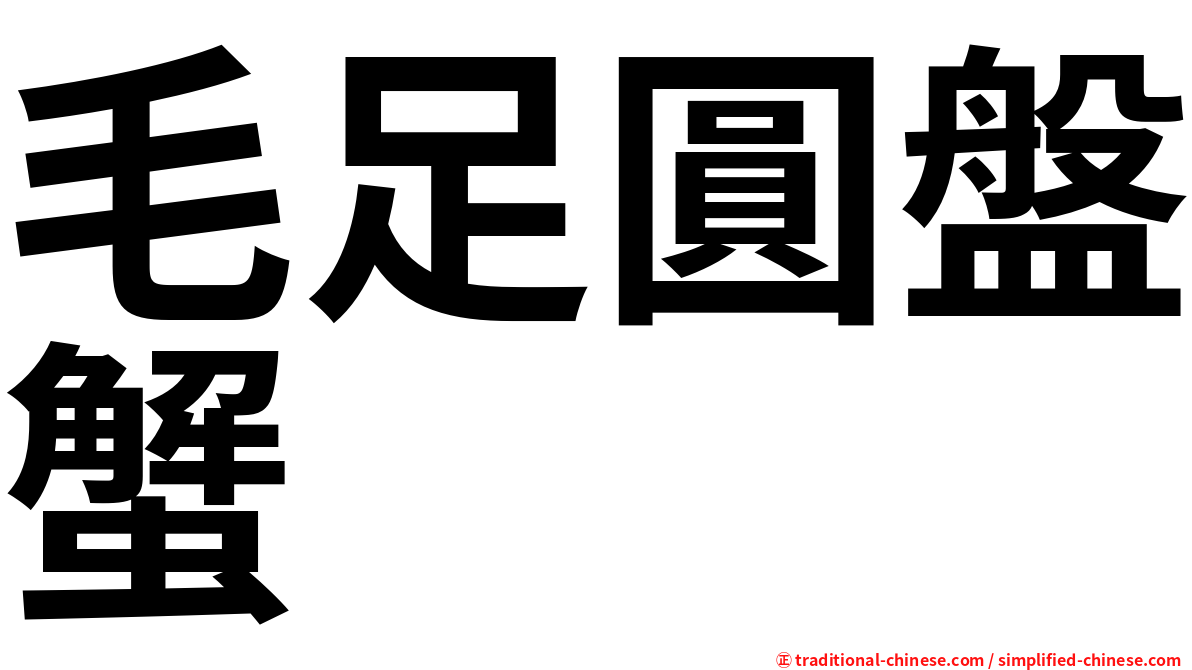毛足圓盤蟹