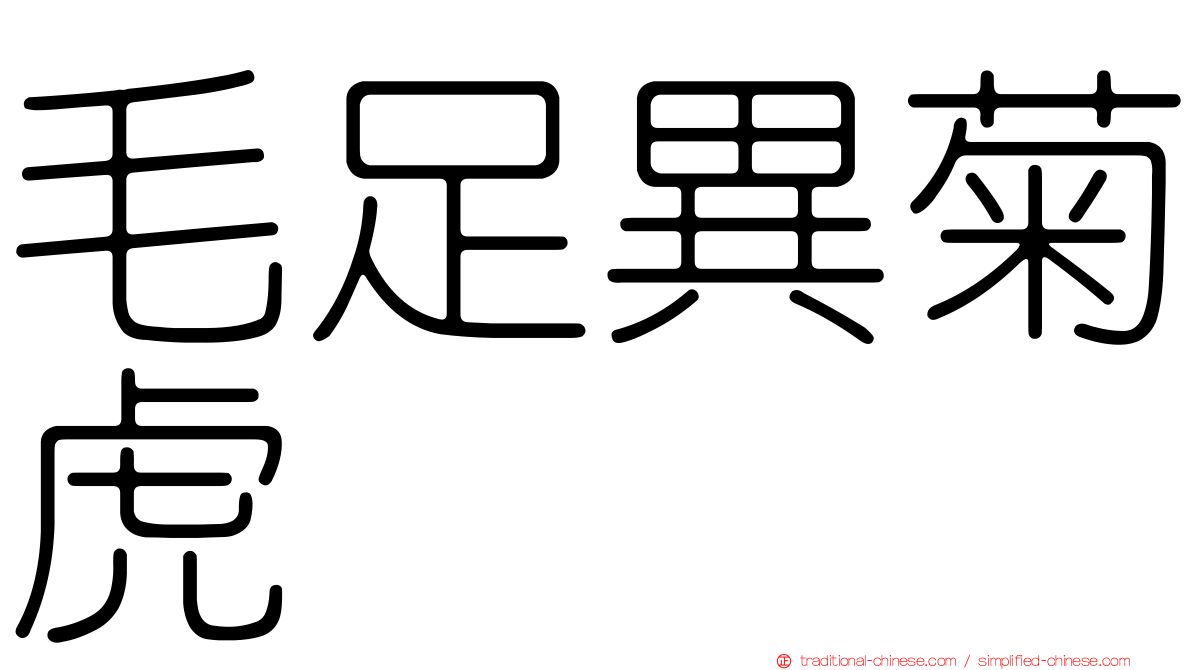 毛足異菊虎