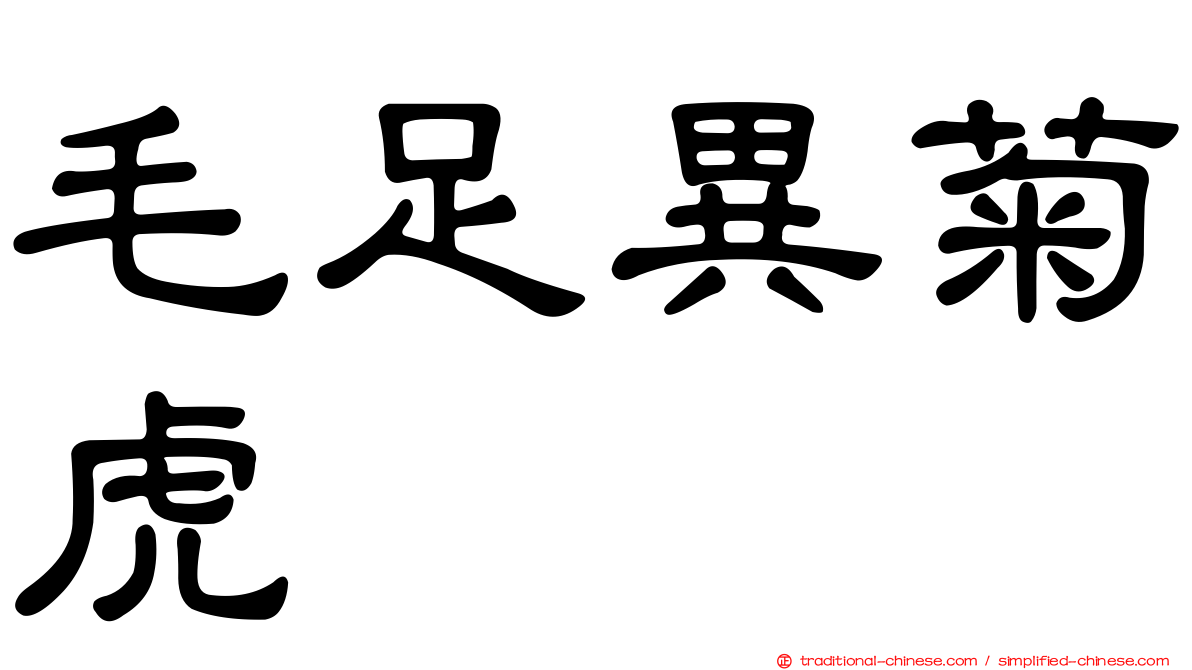 毛足異菊虎