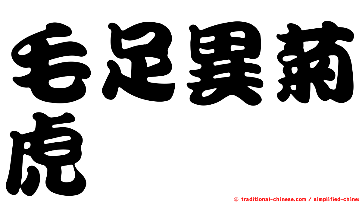 毛足異菊虎
