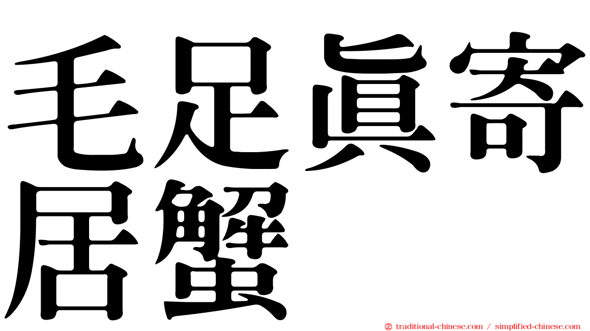 毛足真寄居蟹